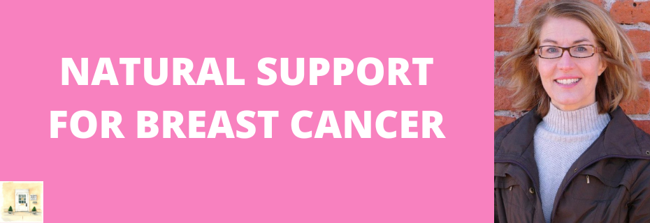 Banner decoration for Natural Support For Breast Cancer with Author Daniella Chace  