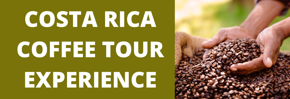Banner decoration for Costa Rica Coffee Tour Experience  