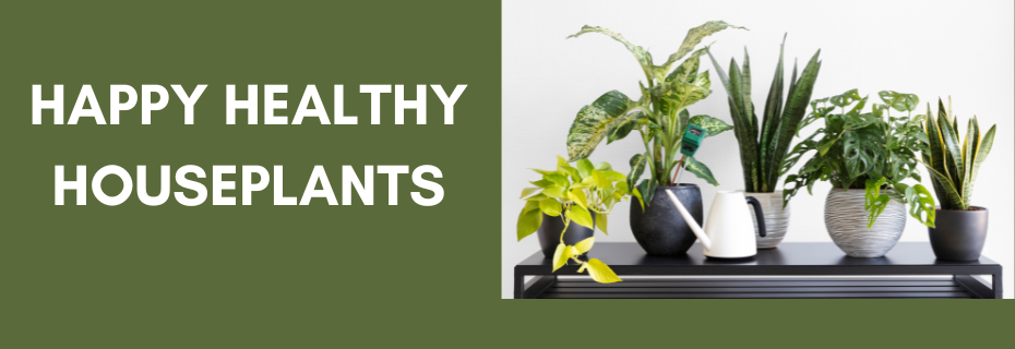 Happy Healthy Houseplants
